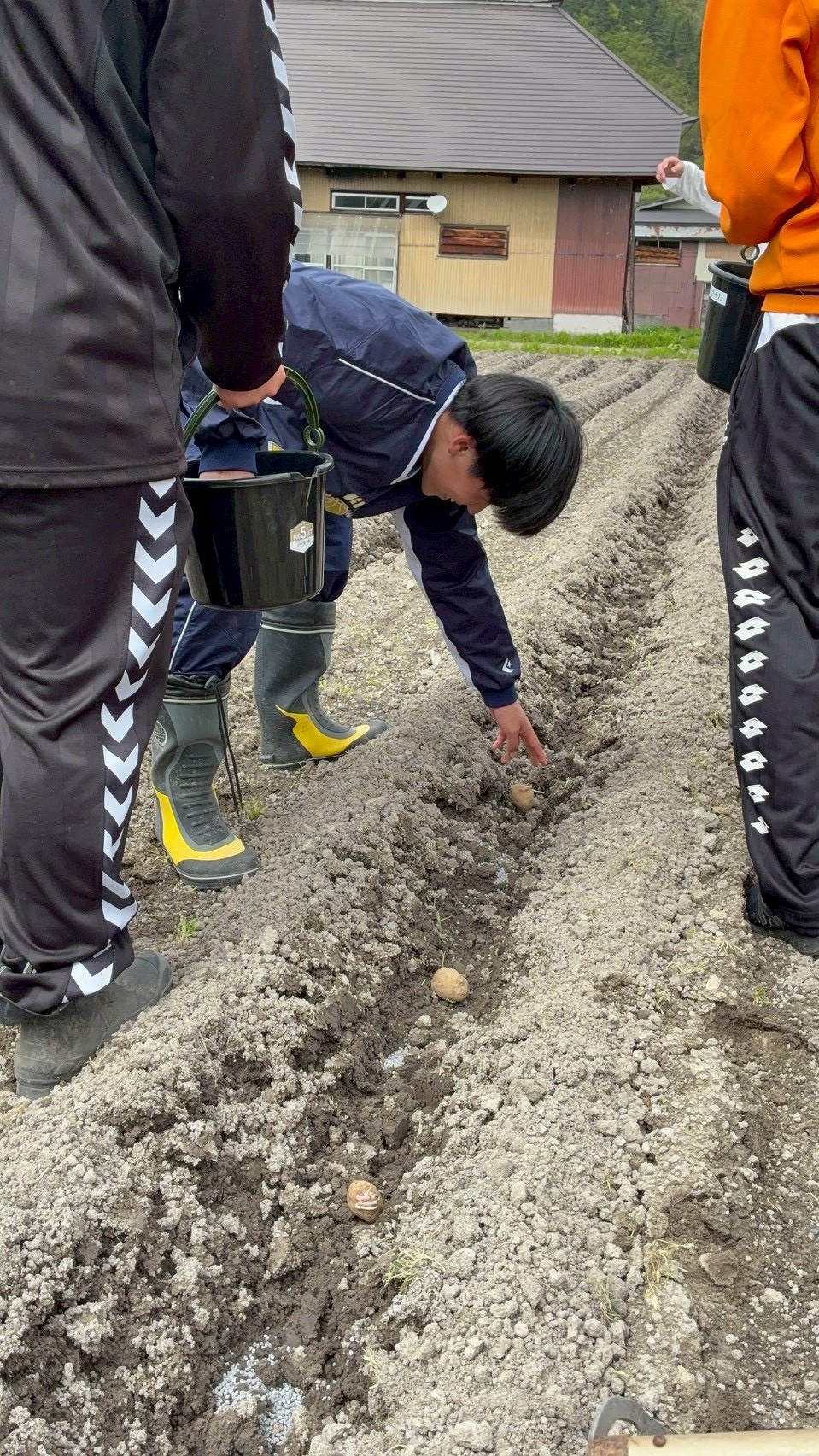 活動の様子
